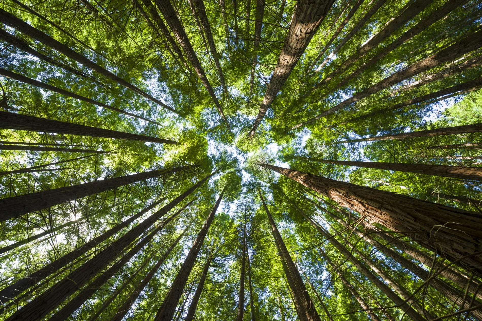 Não há lugar para utopias