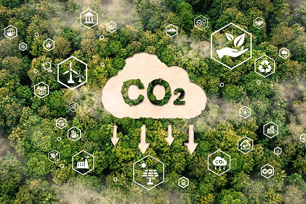 O mercado de carbono em Portugal: da obriga&ccedil;&atilde;o &agrave; oportunidade de valor