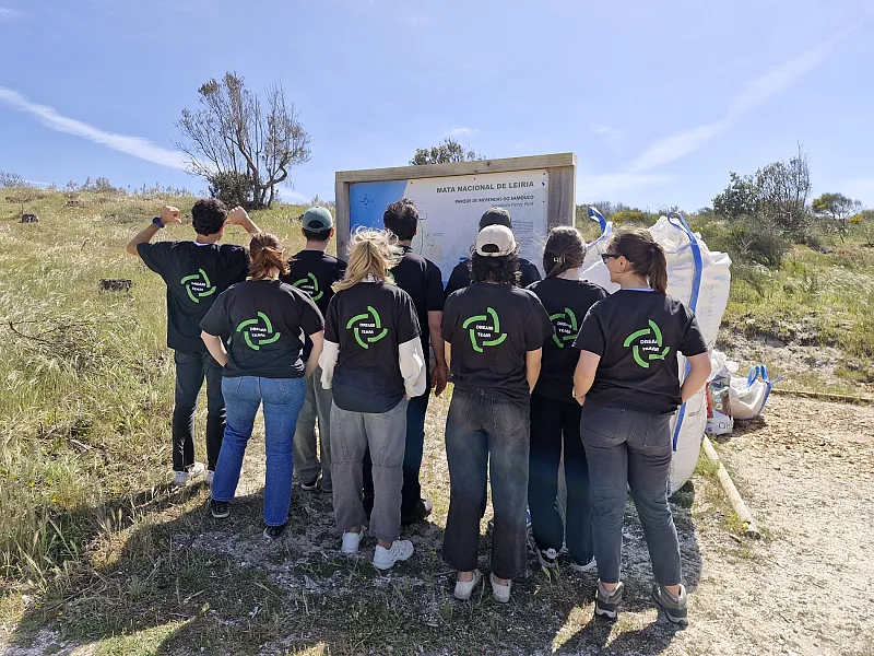 Environmental Regeneration Practices